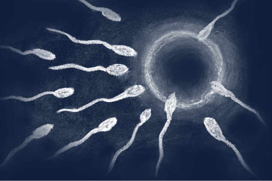 sperm Sperm
