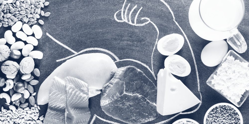 Protein Myths Protein Myths