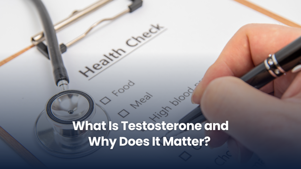 What Is Testosterone and Why Does It Matter?